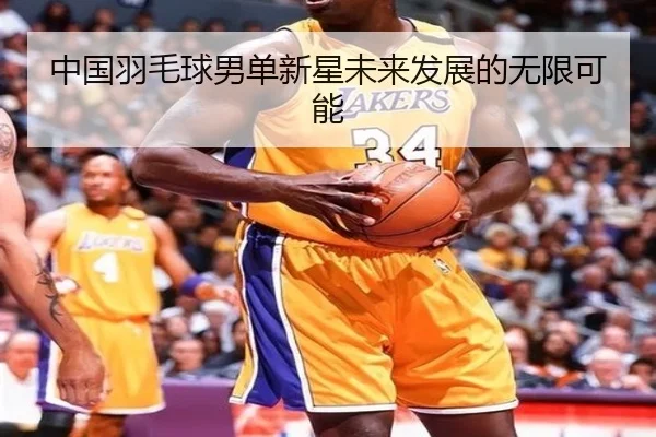 中国羽毛球男单新星未来发展的无限可能