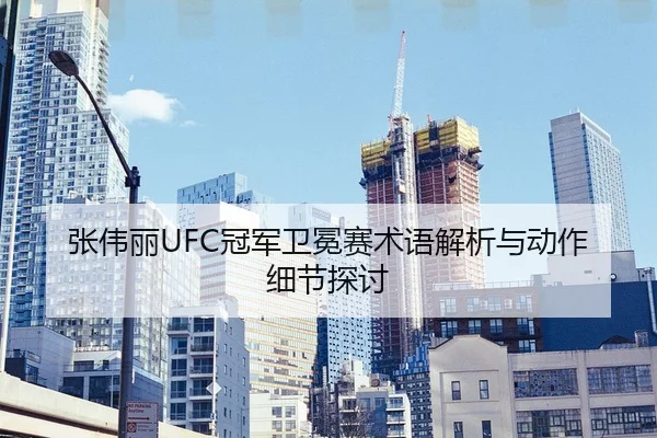 张伟丽UFC冠军卫冕赛术语解析与动作细节探讨